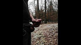 Public jerk off in the forest