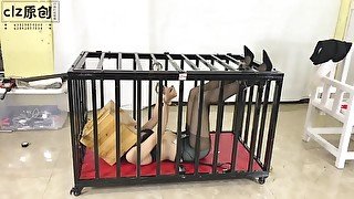 Asian Girl Caged And Box Hooded