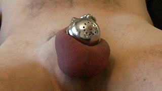 Balls Sqeezed & Teased - in Chastity - Femdom