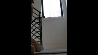 PISSING ON A RUG/CARPET BUT GOT TOO EXCITED AND PISSED EVERYWHERE. MULTIPLE ANGLES