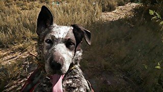 Just Fuckin Around in Far Cry 5