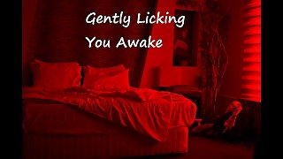 Gently Licking You Awake