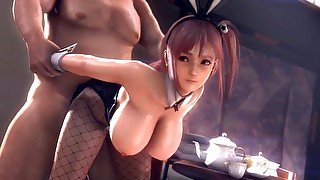 3D Compilation: Doa Honoka Ayane Mai Shiranui BunnyGirl Dess Uncensored Hentai Dead Or Alive