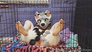 caged puppy cunt