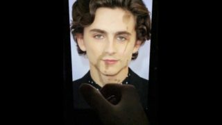 TIMOTHÉE CHALAMET Gay Cum Tribute