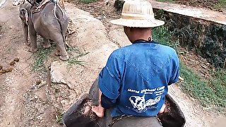 Elephant riding in Thailand with teen 18+ couple who had sex afterwards