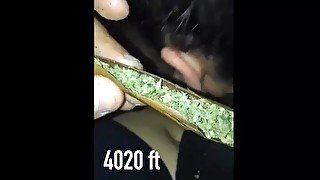 SHE SUCKING DICK WHILE HE ROLL UP HIS