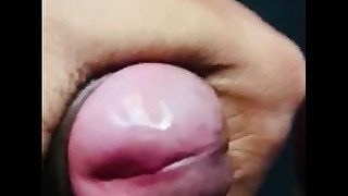 Blow job close up big dick