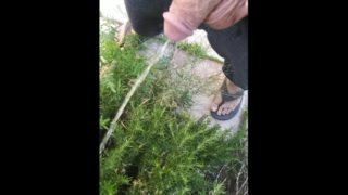 Norwegian Daddy Taking A Long Fat Dick Piss In A Outside Bush In Sandals