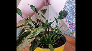 Bathroom occupied & plant needed watering