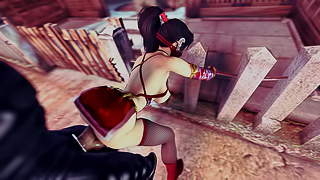 Dead or Alive - Momiji's Apprenticeship