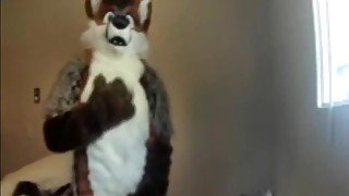 Fursuit sex 136