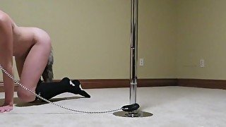 Busty Teen Pet Kitten Neko Collared and Leashed to Stripper Pole Then Made to Cum with Vibrator