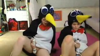 Teen penguins on cam