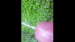 Piss walking in backyard