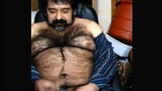 Big hairy bear and hairy body