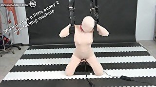 Waking up as a little puppy 2 with fucking machine