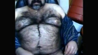 Big hairy bear and hairy body