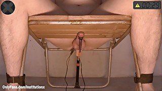 Reach prostate orgasm every 5 min from dildo in your ass or get your cock and balls electrocuted