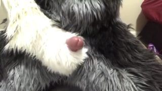 Fursuiter Pawing and Cumming Hard