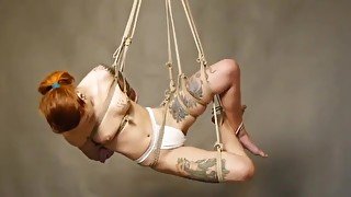 Erotic Education Bondage, Shibari