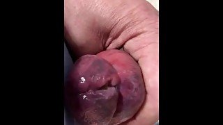 Lots of pre cum pumped fat cock open urethra