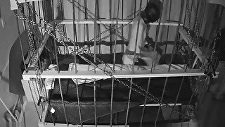 The Cage Cam May 7 2018 0722 a new day in the life of slave andrew