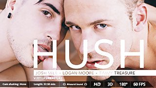 Hush - Virtualrealgay