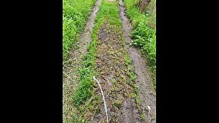 OUTDOOR PISSING - Pissing in the public nature trail after rain is so relaxing