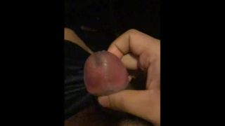 Cumshot Normal Version 1/16/2020