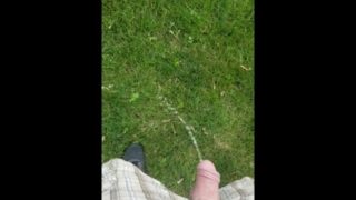 Pissing in the yard