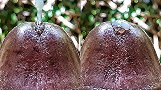 Huge Cum Explosion in the jungle after a Horny Guy attempted an Extreme Close Up Precum Play