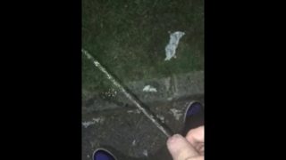 Piss at the park