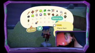 PlexStorm Stream Fun Nintendo switch Animal crossing