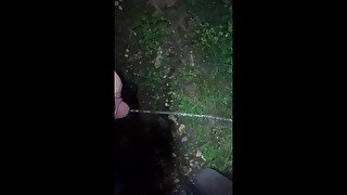 Pissing backyard