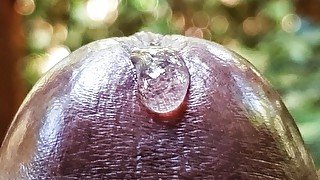 Here is an Extreme Close up Satisfying Precum Play to get you Falling Asleep- (Loud Moaning Cumshot)