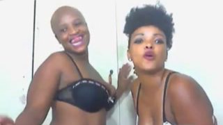 2 ebony babes dancing....shaking big asses webcam