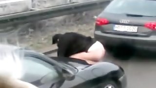 Shameless girl caught pissing on auto strada