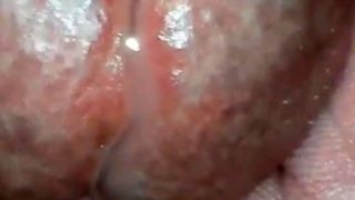 CLOSE UP MULTI CUMSHOTS