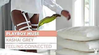 Kashai Grey in Feeling Connected - PlayboyPlus