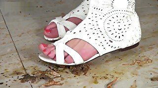 rita crush crawdad