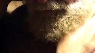 Hairy bears passionate kissing