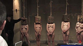 The Auditons Three - TheTrainingofO