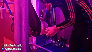 Anal Odyssey - Chastity Rubber Dog Stuffed With Dick And Toys In The Sling - Teaser Video