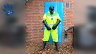 hiviz workie pup pawing off outdoors