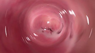 Internal camera inside tight creamy Vagina, Dick's POV