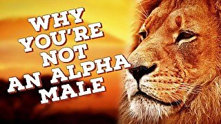 Alpha Male Introduction