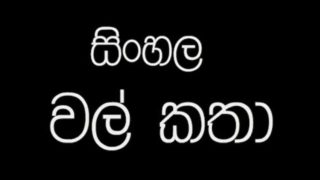 sinahala wela katha part 3