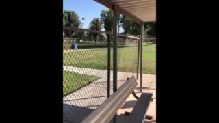 Latino playing with his cock in a public park in day light