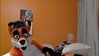 Fursuit sex 91